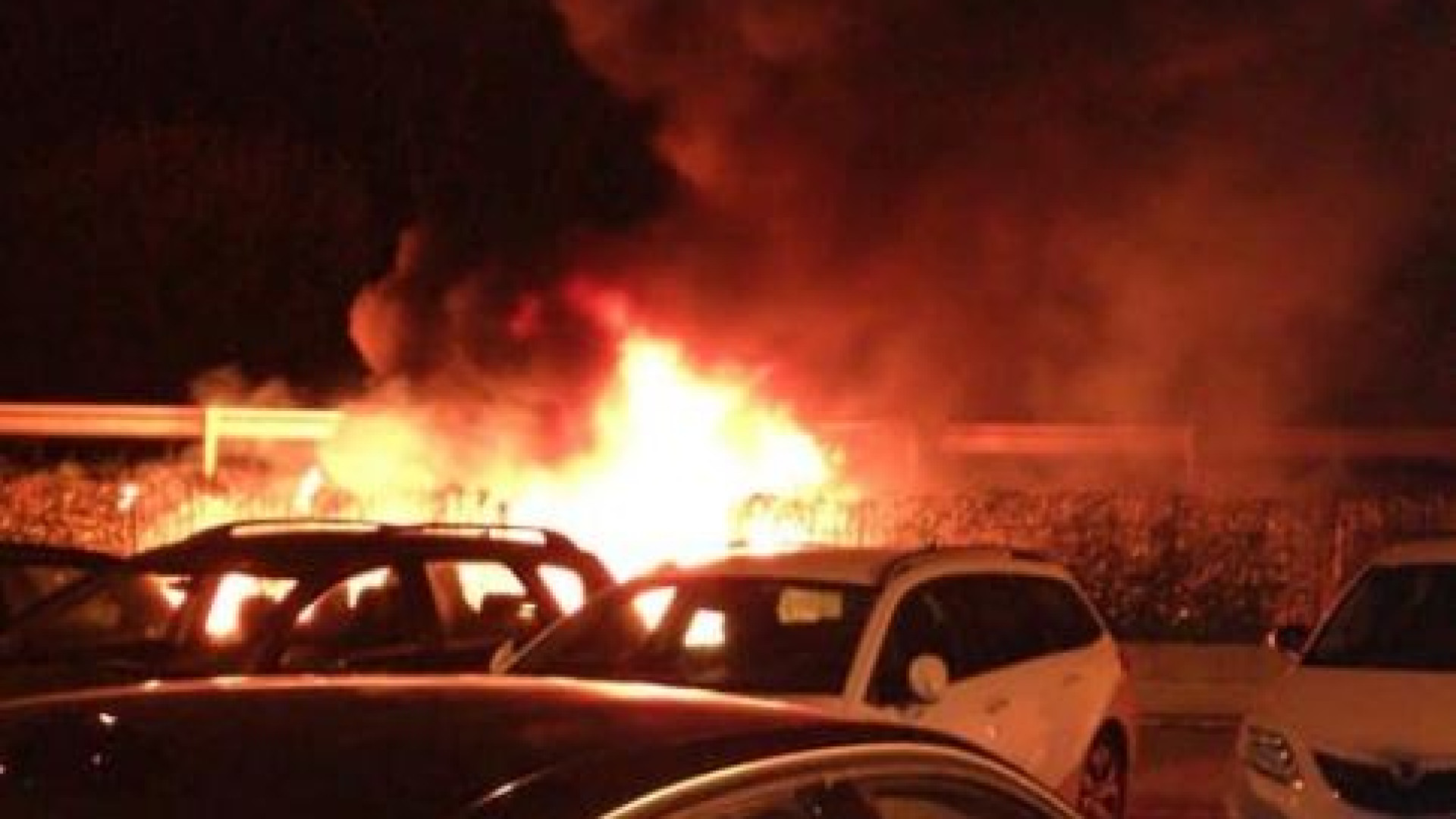 Fiamme nella notte a Rivergaro, cassonetti dei rifiuti distrutti. Pompieri in azione