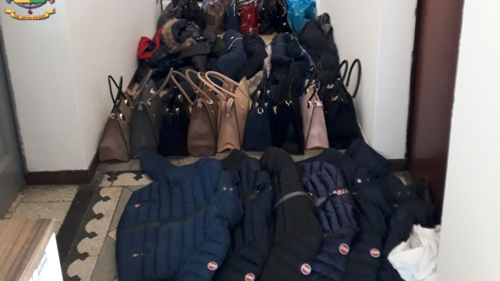 Borse, scarpe e giubbotti contraffatti: maxi sequestro della Finanza