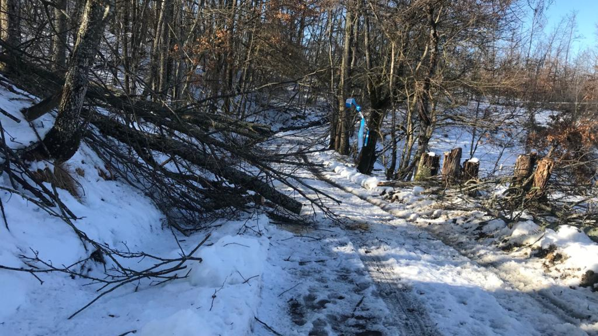 Gelicidio: Lugagnano, Morfasso e Unione Alta Valnure chiedono lo stato di calamità. A Ferriere nevica ancora, frana a Ciregna