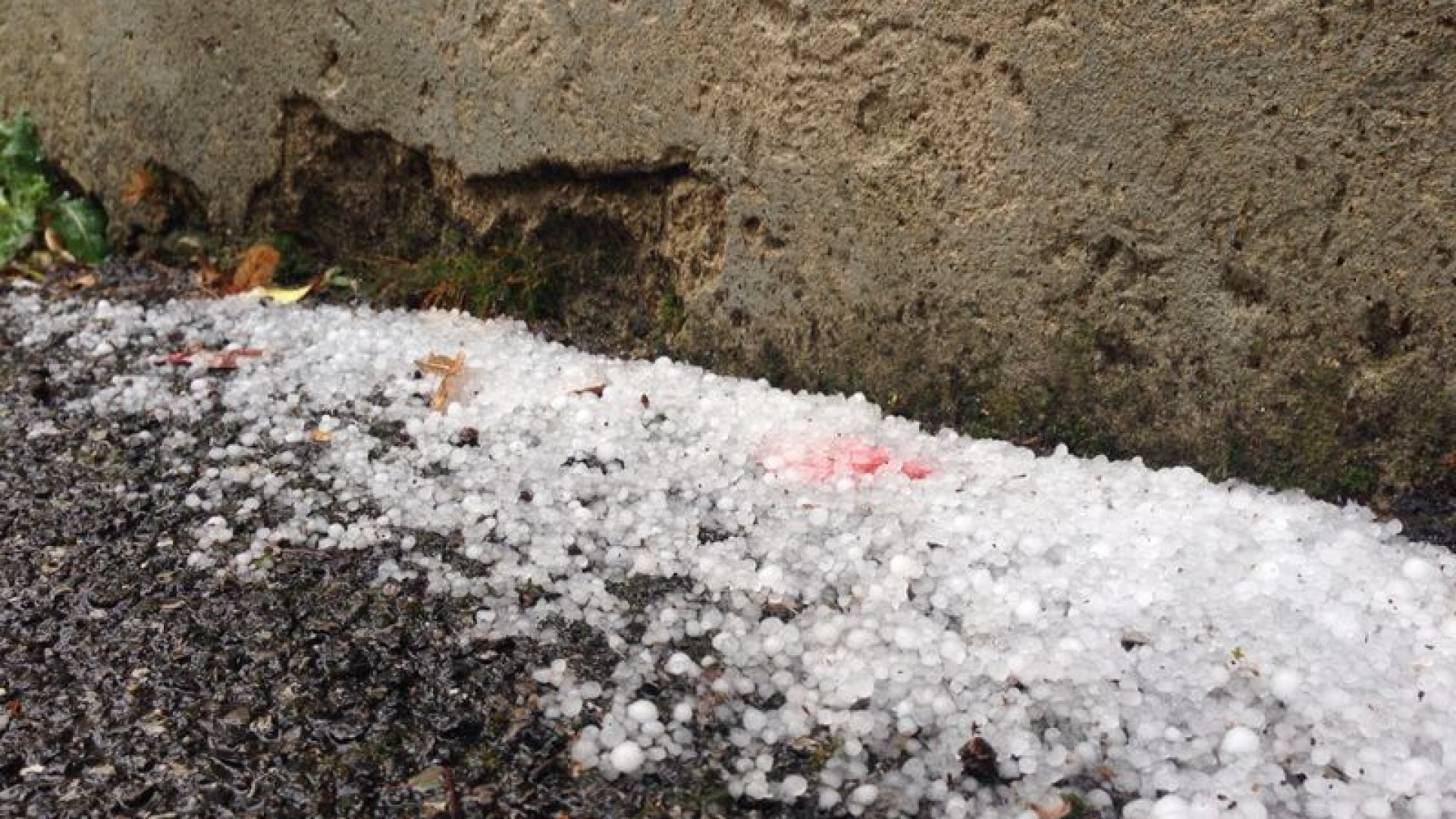 Violenta grandinata a Pecorara. Pasqua nuvolosa ma calda