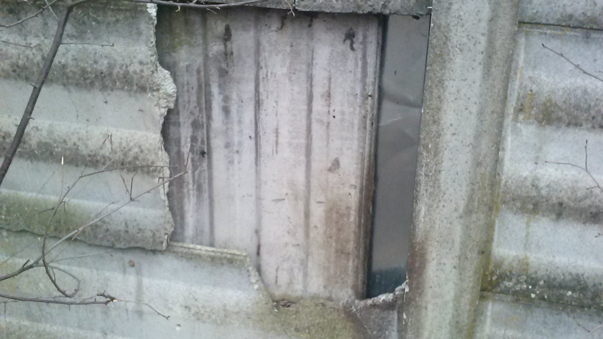 Colonia felina all'ex Pertite, murato il "buco". Protestano i cittadini