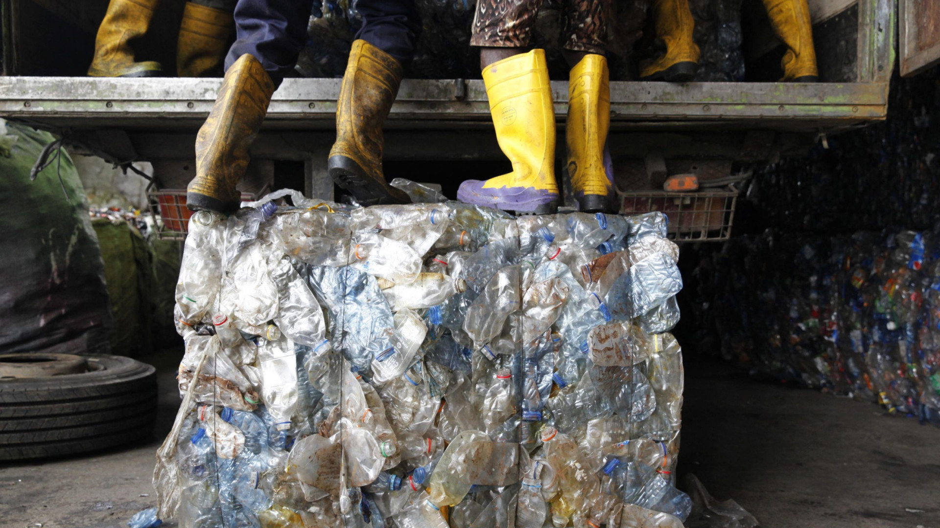 Legno, carta e vetro: volano le filiere del riciclo in Italia TUTTI I DATI