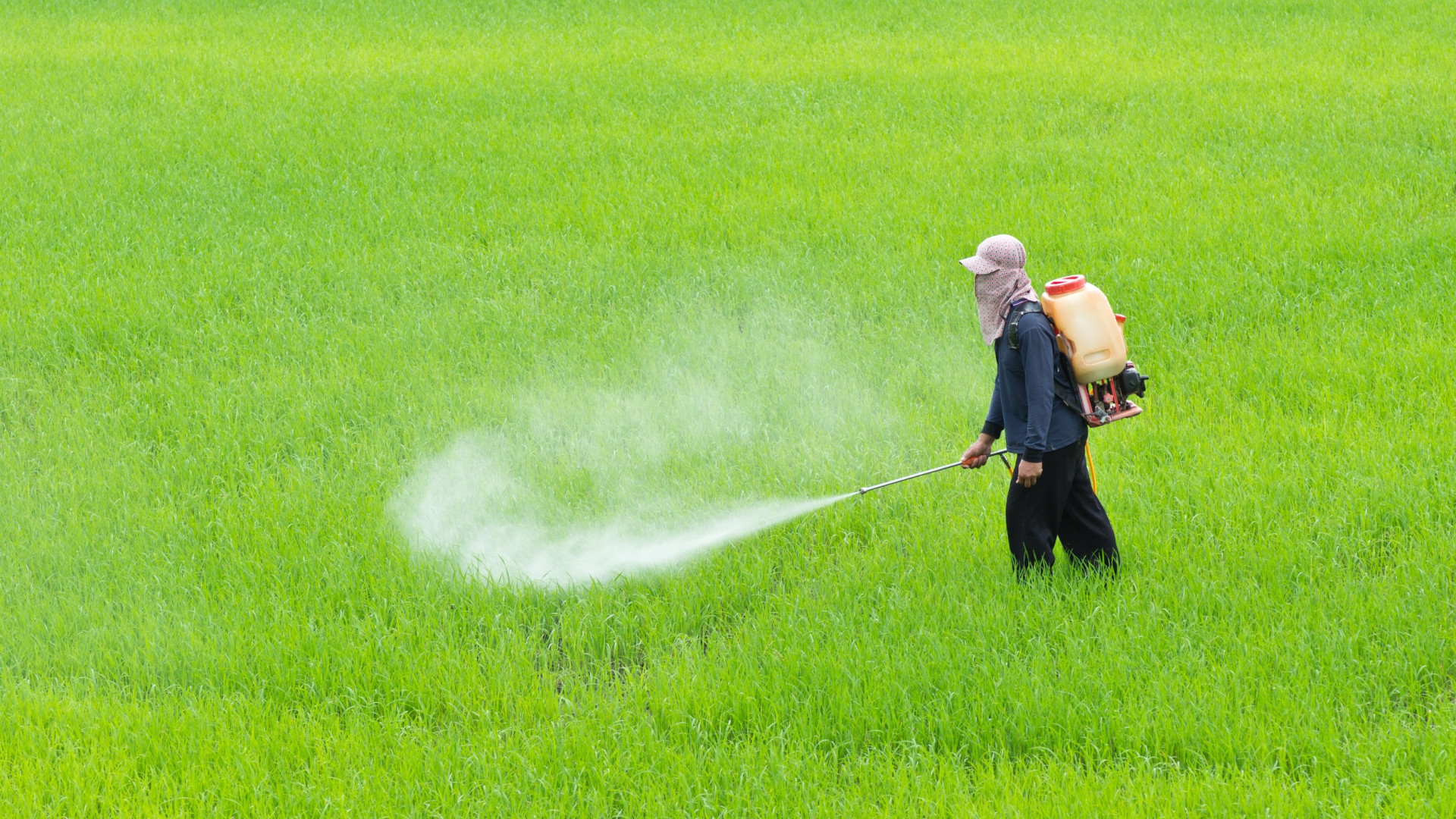 Agricoltura, a rischio la legge europea sul dimezzamento dell'utilizzo dei pesticidi