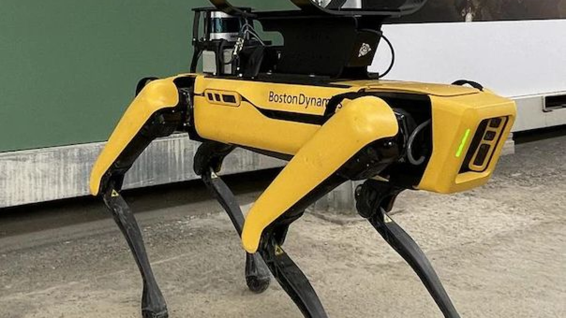 La polizia di Los Angeles arruola un cane-robot, gli afroamericani protestano