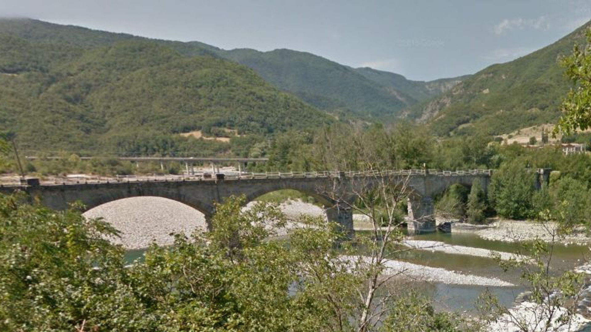 Scoperta shock a Bobbio: cuccioli di cane annegati e uccisi in Trebbia