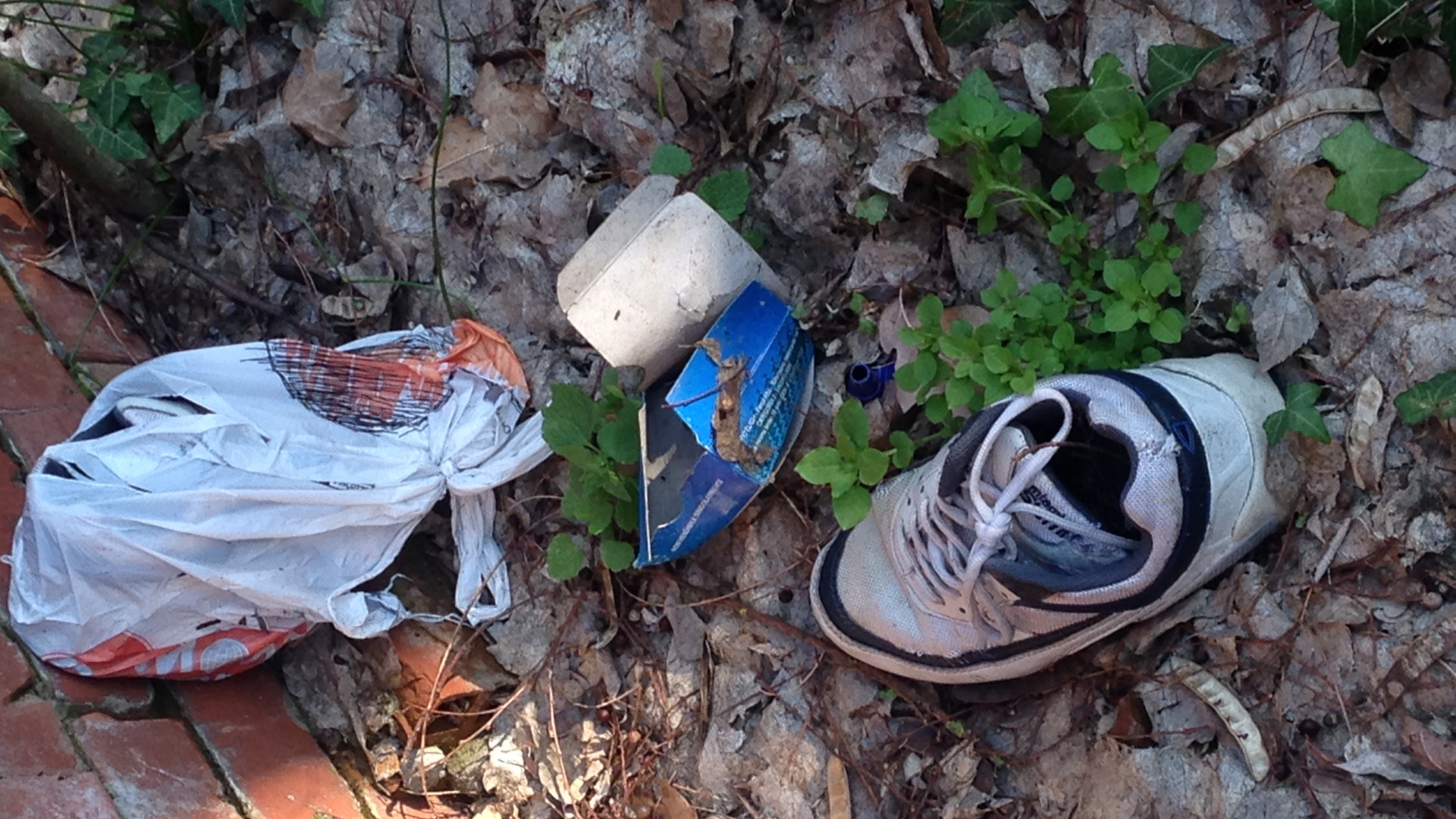 Parco della Galleana: sporcizia, bottiglie di vodka e preservativi