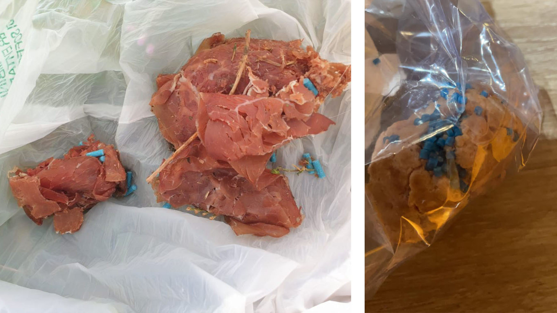 Ancora bocconi avvelenati a Gossolengo, sale la paura tra i residenti